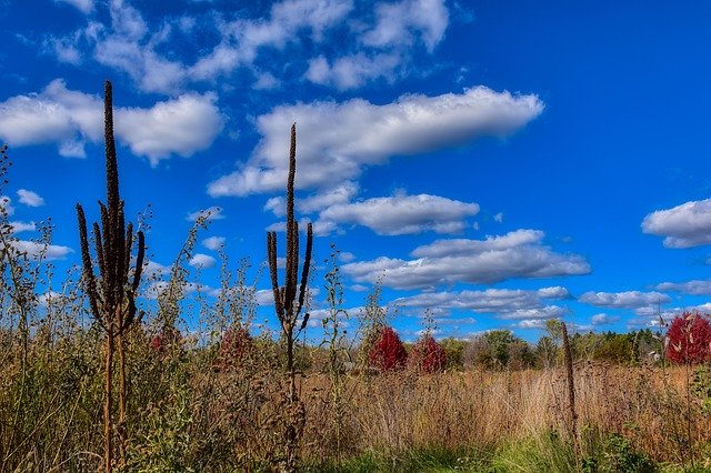 Free picture Fall Prairie Nature -  to be edited by GIMP free image editor by OffiDocs
