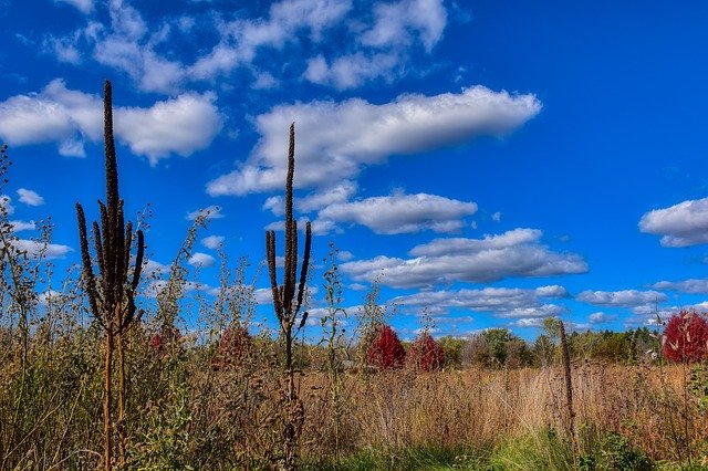 Kostenloser Download Fall Prairie Nature - kostenloses Foto oder Bild zur Bearbeitung mit GIMP Online-Bildbearbeitung