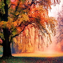 Fall Scenery Theme  screen for extension Chrome web store in OffiDocs Chromium