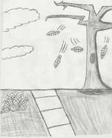 Free download Fall Season free photo or picture to be edited with GIMP online image editor