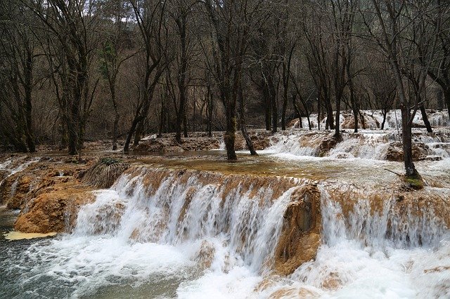 ດາວໂຫລດຟລີ Falls Jungle - ຮູບພາບຫຼືຮູບພາບທີ່ບໍ່ເສຍຄ່າເພື່ອແກ້ໄຂດ້ວຍຕົວແກ້ໄຂຮູບພາບອອນໄລນ໌ GIMP