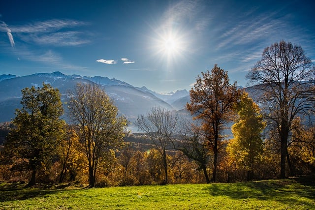 Free download fall trees alps autumn sun leaves free picture to be edited with GIMP free online image editor