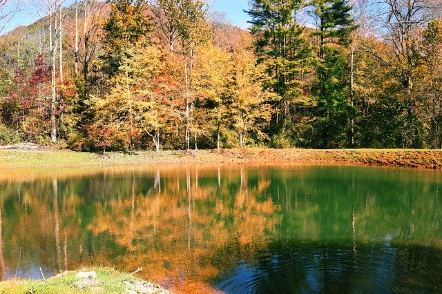 ดาวน์โหลดฟรี Fall Trees Autumn - ภาพถ่ายหรือรูปภาพฟรีที่จะแก้ไขด้วยโปรแกรมแก้ไขรูปภาพออนไลน์ GIMP