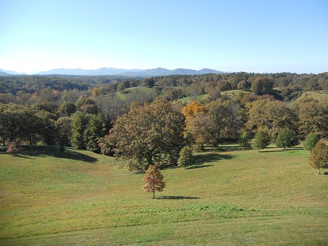 Free download Fall Trees Lan -  free photo or picture to be edited with GIMP online image editor