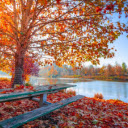 Fall yellow leaves tree  screen for extension Chrome web store in OffiDocs Chromium