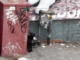 Free download Familiar HWIM 01 010 free photo or picture to be edited with GIMP online image editor