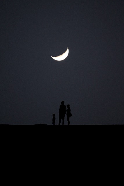 Free download family silhouette love baby mother free picture to be edited with GIMP free online image editor