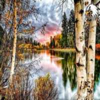 Free download FANARTS ADDON free photo or picture to be edited with GIMP online image editor