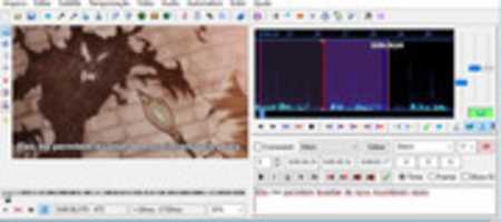 Free download Fansub 2 free photo or picture to be edited with GIMP online image editor