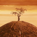 Fantastic Mr. Fox hill (1920x1080)  screen for extension Chrome web store in OffiDocs Chromium