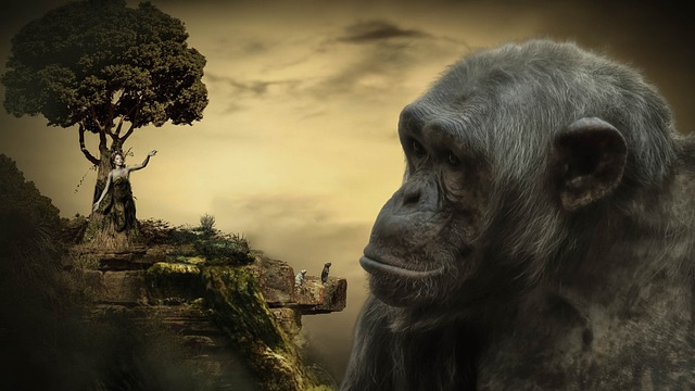 Free download fantasy ape landscape tree woman free picture to be edited with GIMP free online image editor