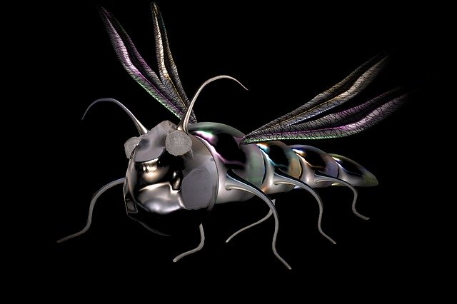 Free download Fantasy Beetle Dragonfly -  free illustration to be edited with GIMP free online image editor