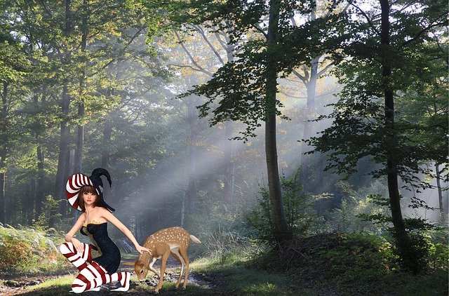 Unduh gratis Fantasy Fairy Surreal - foto atau gambar gratis untuk diedit dengan editor gambar online GIMP