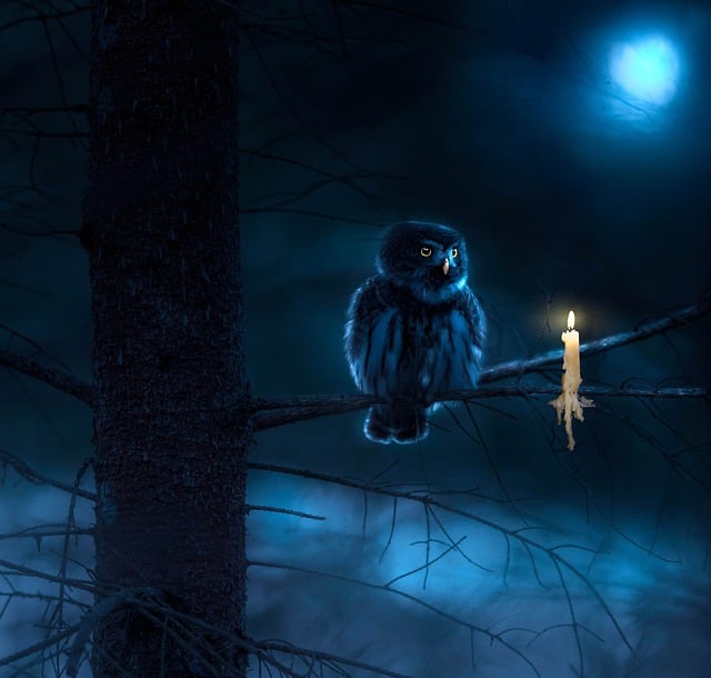 Free graphic fantasy forest owl candle painting to be edited by GIMP free image editor by OffiDocs