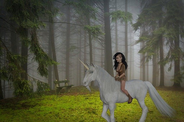 Template Photo Fantasy Unicorn Forest -  for OffiDocs