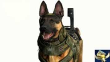 Free download Far Cry 4 free photo or picture to be edited with GIMP online image editor