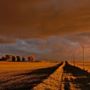 Farm  screen for extension Chrome web store in OffiDocs Chromium