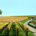 Farm change clothes  screen for extension Chrome web store in OffiDocs Chromium