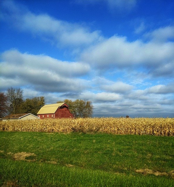 Gratis download Farm Cornfield Clouds - gratis gratis foto of afbeelding om te bewerken met GIMP online afbeeldingseditor