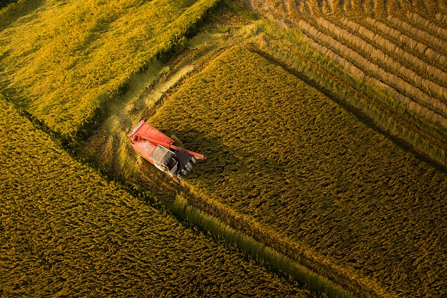 Faça o download gratuito da imagem gratuita da fazenda da nang agricultura para ser editada com o editor de imagens on-line gratuito do GIMP