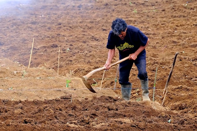 Free download farmer digging garden field free picture to be edited with GIMP free online image editor