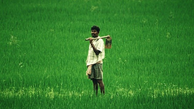 Muat turun percuma Farmer Farm Man - foto atau gambar percuma untuk diedit dengan editor imej dalam talian GIMP