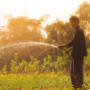 Farmer watering flowers  screen for extension Chrome web store in OffiDocs Chromium