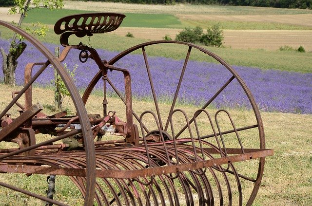 Bezpłatne pobieranie Farm Lavender Plough - darmowe zdjęcie lub obraz do edycji za pomocą internetowego edytora obrazów GIMP