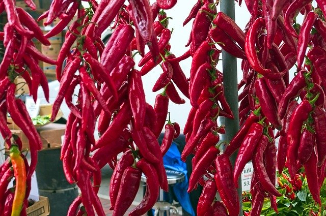 Muat turun percuma Farm Market Peppers Red Food - foto atau gambar percuma untuk diedit dengan editor imej dalam talian GIMP