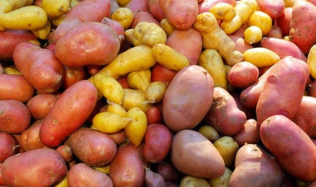 Free download Farm Market Potatoes Farmers -  free photo or picture to be edited with GIMP online image editor