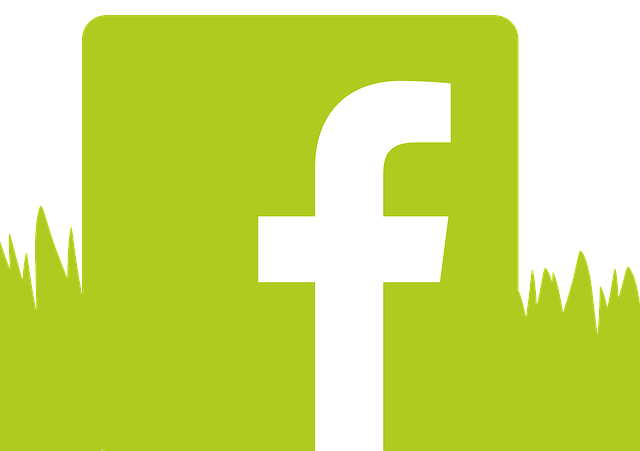 Free graphic Fb Facebook Logo - Free vector graphic on Pixabay to be edited by GIMP free image editor by OffiDocs