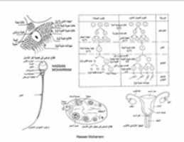 Free download FB IMG 1593095915339 free photo or picture to be edited with GIMP online image editor