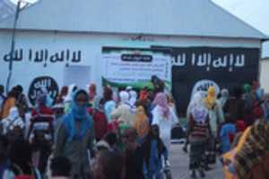 Free download FB IMG 1604944536908 free photo or picture to be edited with GIMP online image editor