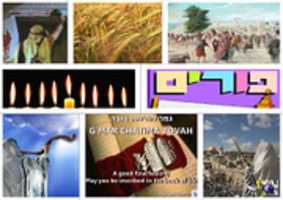 Free download Feasts Background 224x 158 free photo or picture to be edited with GIMP online image editor
