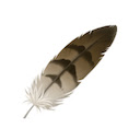 Feather AI  screen for extension Chrome web store in OffiDocs Chromium