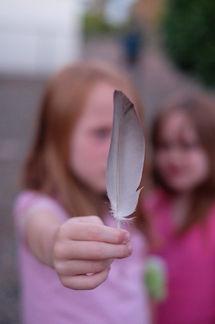 Free download Feather Children Nature -  free photo or picture to be edited with GIMP online image editor