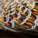 Feather fabric  screen for extension Chrome web store in OffiDocs Chromium