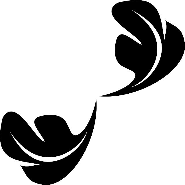 Free download Feather Flying Soft - Free vector graphic on Pixabay free illustration to be edited with GIMP free online image editor