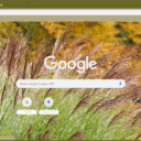 Feather Reed Grass  screen for extension Chrome web store in OffiDocs Chromium