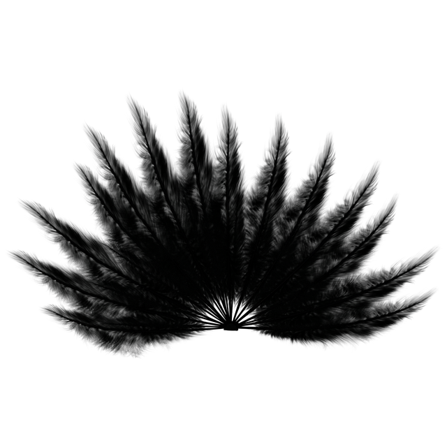 ดาวน์โหลดภาพประกอบ Feathers Fan Black ฟรีเพื่อแก้ไขด้วยโปรแกรมแก้ไขรูปภาพออนไลน์ GIMP