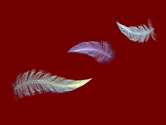Free download Feathers Soft Plumage -  free illustration to be edited with GIMP free online image editor