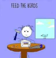 Free download Feed The Birds free photo or picture to be edited with GIMP online image editor