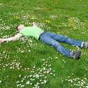 Feel the earth  screen for extension Chrome web store in OffiDocs Chromium