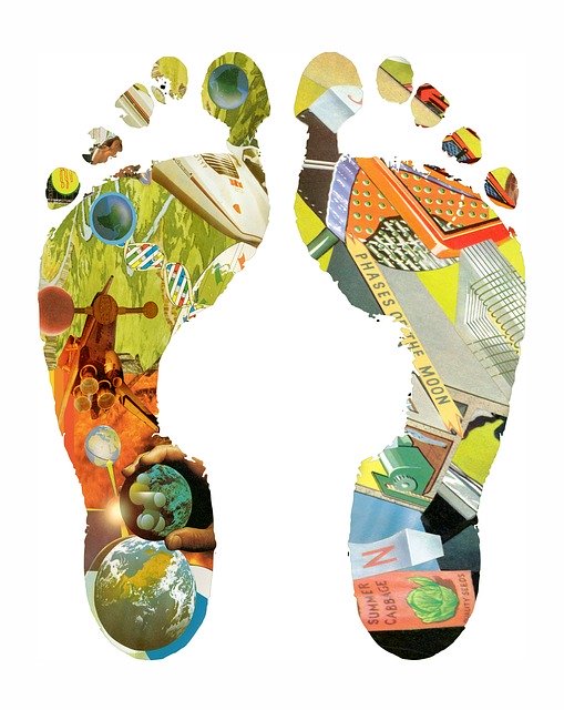 Free download Feet Foot Montage -  free illustration to be edited with GIMP free online image editor