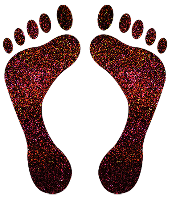Free download Feet Human Body Anatomy -  free illustration to be edited with GIMP free online image editor