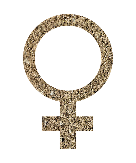 Free download Female Sign Icon -  free illustration to be edited with GIMP free online image editor