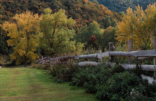 Free download Fence Coziness Calm -  free photo or picture to be edited with GIMP online image editor