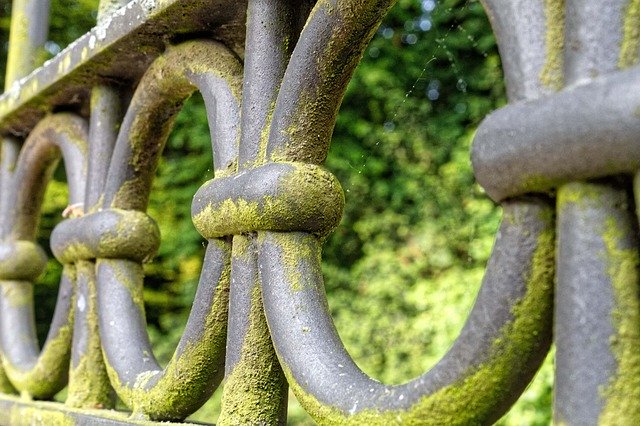 Téléchargement gratuit de Fence Grid Metal Wrought - photo ou image gratuite à modifier avec l'éditeur d'images en ligne GIMP