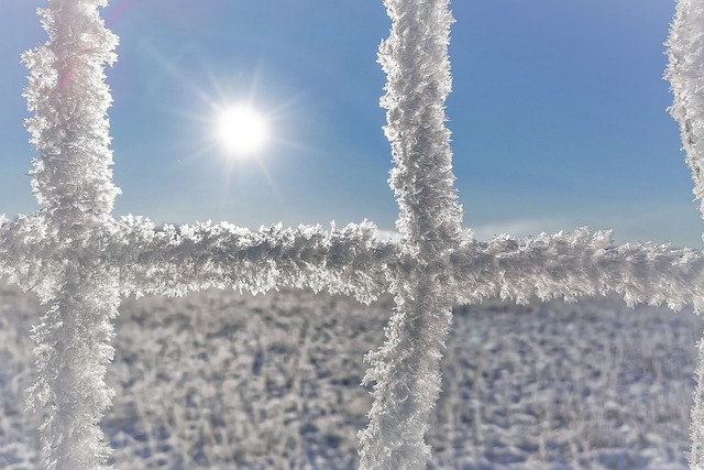 Muat turun percuma gambar percuma matahari salji beku pagar beku untuk diedit dengan editor imej dalam talian percuma GIMP