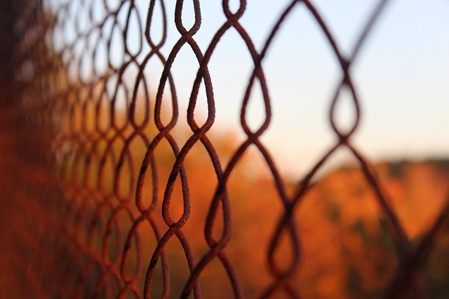 Download gratuito Fence Metal Thread - foto o immagine gratuita da modificare con l'editor di immagini online di GIMP